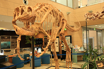 ④ 甑ミュージアム