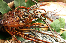 伊勢海老コース