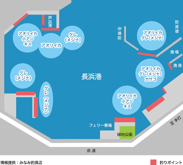 長浜港周辺の釣り案内